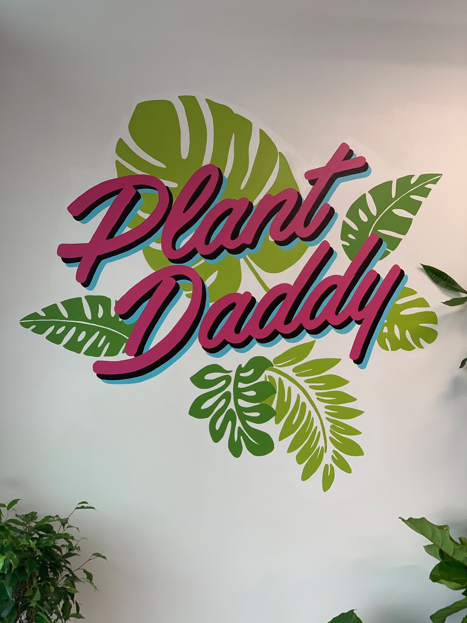Shop Plant Daddy
