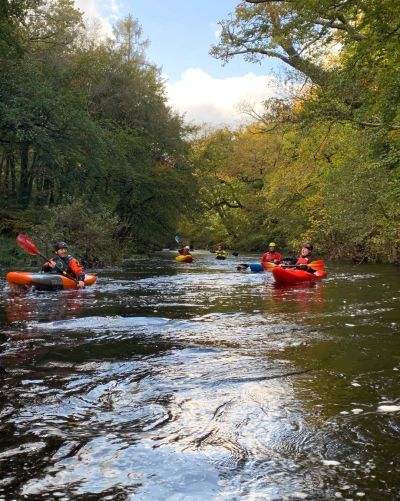 People kayaking on a river surrounded by trees.