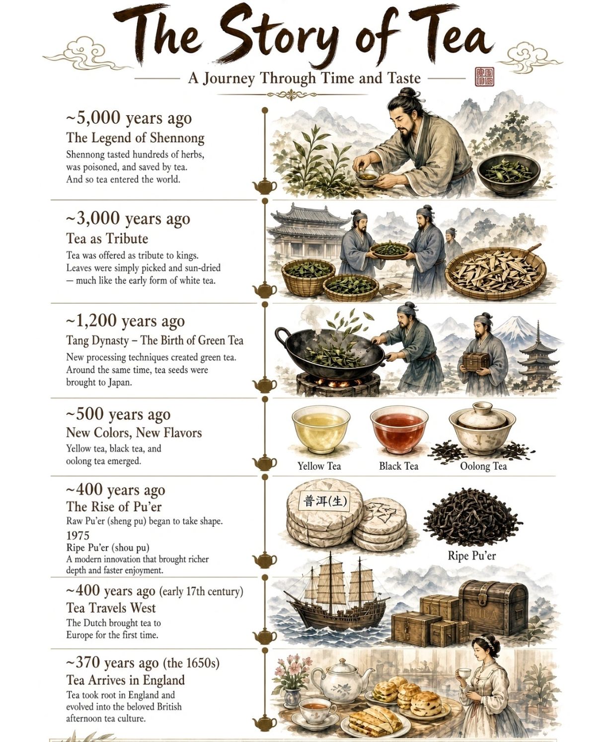 Timeline illustrating the history and evolution of tea over thousands of years.