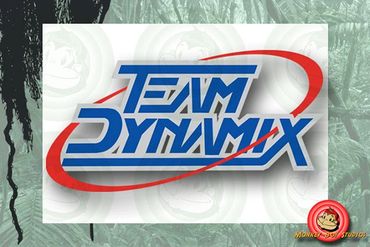 Team Dynamix logo design