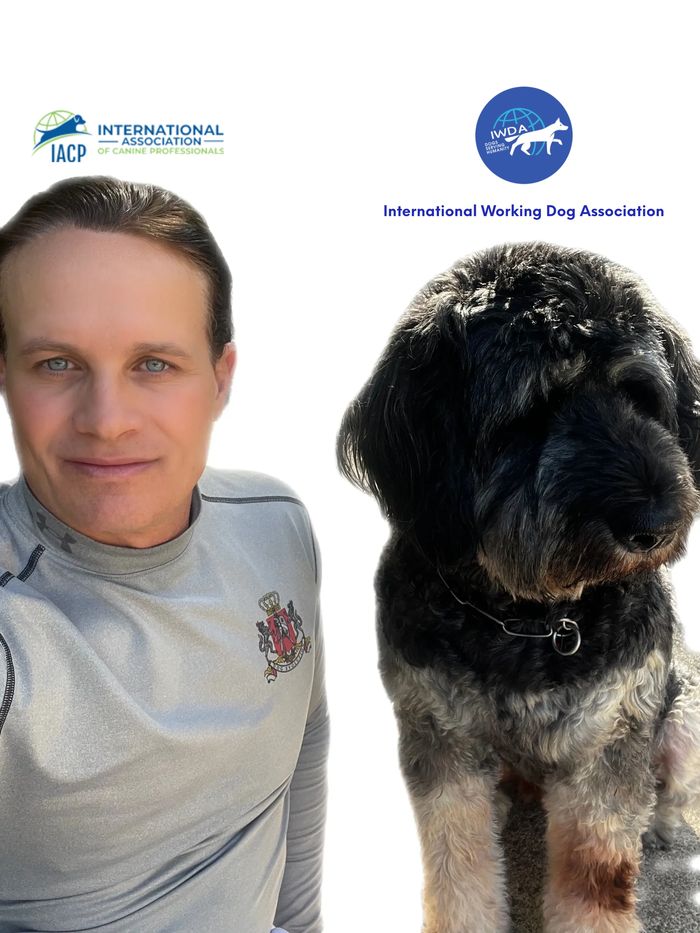 Dog behaviorist Park City Utah. David has 37 years experience saving dogs
