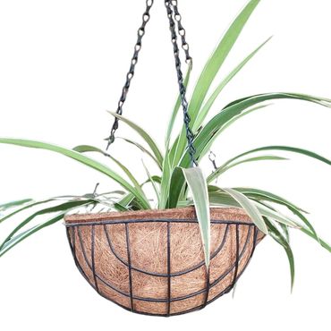 Coir Hanging Basket