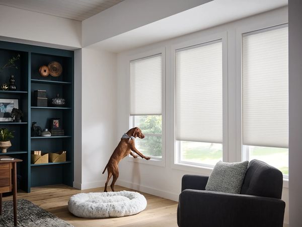 Motorized Shades - Beyond Measure Window Treatments Sarasota, FL