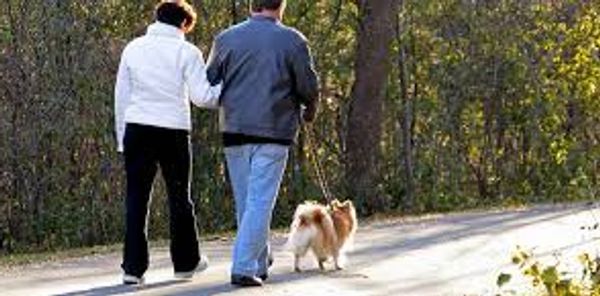 Walk your dog on nearly two miles of trail, enjoy peaceful scenic settings, and improve your health!