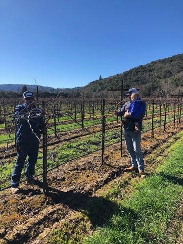 Two men working in a vineyard, one holding a child, under a clear blue sky.