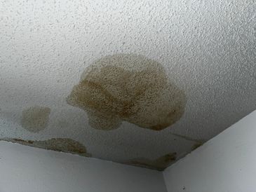 Water stains and mold damage on a white ceiling corner.