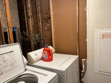 Laundry area with exposed wall studs and detergent on washer.