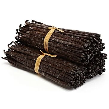 Bundles of dried vanilla beans tied with natural string.