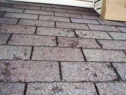roofing inspections