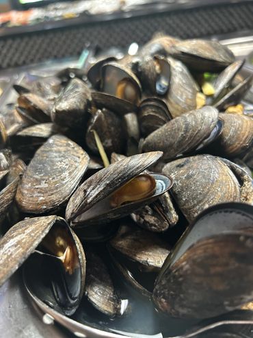 Green-lipped mussels served on the half-shell on a bed of crushed ice.