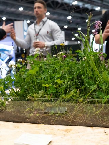 Wildflower planting display on an award-winning sustainable exhibition stand at Futurebuild