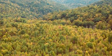 Tennessee Autumn Hills & Foliage - About TennesseeWired