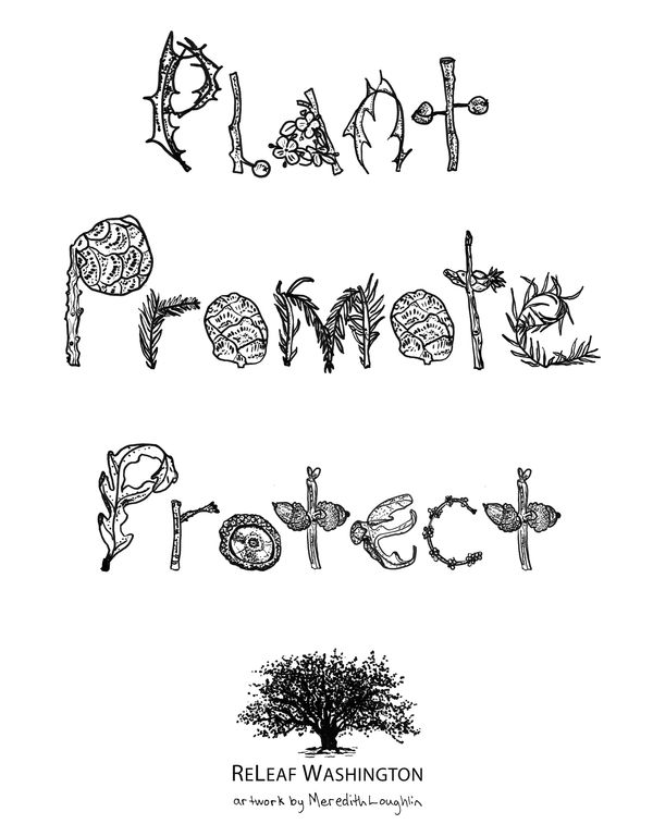 plant promote protect design