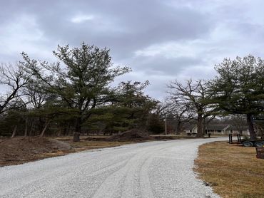 Gravel road curving through a rural area with trees and a house in the background.