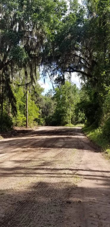 Shaded trail with trees