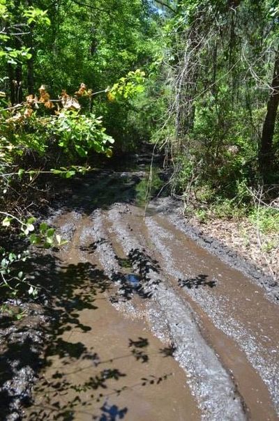 muddy atv trail
