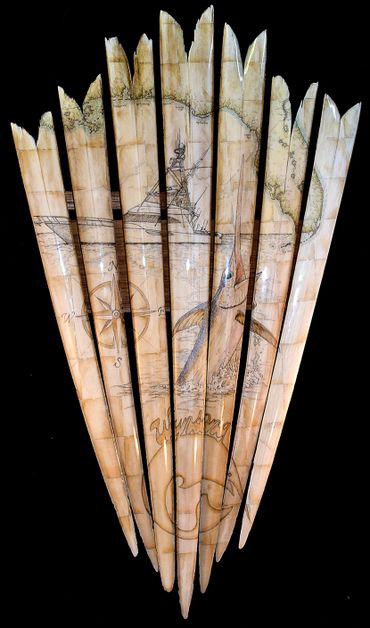 bone-afide swordfish bill art