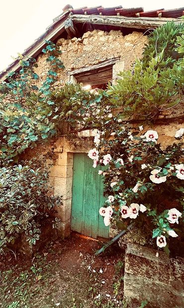 Entrance to what were three stables, now a big bright potting shed