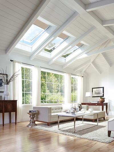 Living room with 3-panel Velux skylight and aluminum framed panel windows