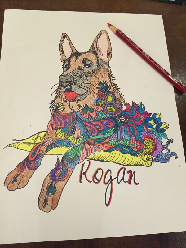 coloring page of a german shepherd colored with colored pencils