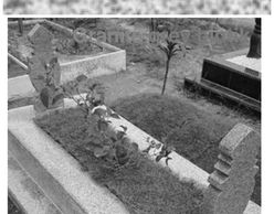 Set kepok granite slab grey bintik