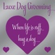 Luxe Dog Grooming and Training