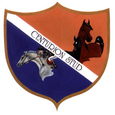 Shield-shaped logo with horses and rider, labeled Centurion Stud.