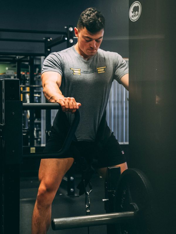 Rogue Monster Rhino Belt Squat. requires no separate rack/rig for set-up.