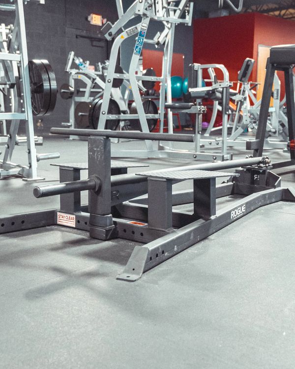 Rogue T-Bar Plated Loaded Row.