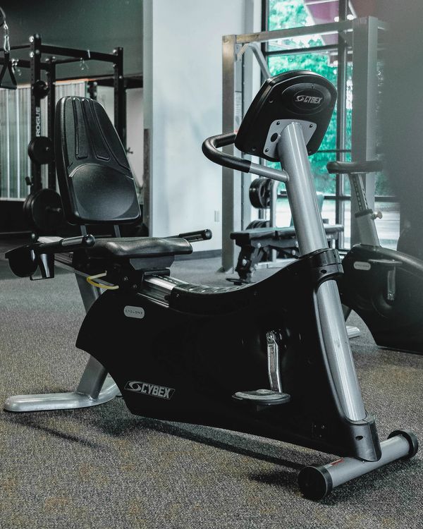 Cyber Recumbent Bike.