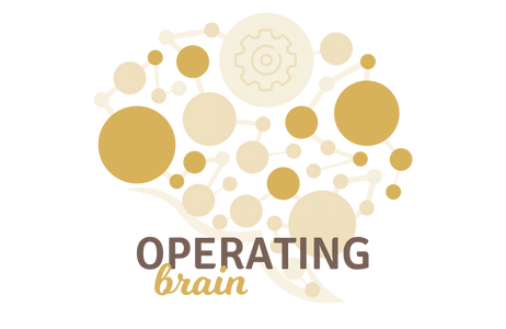 Developing operating mechanisms, managing large, multi-level organizations and delivering flawlessly