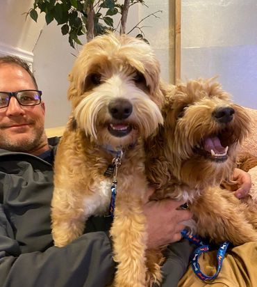 California Labradoodle puppies