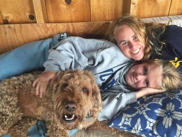 California Labradoodle puppies