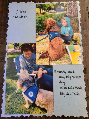 Australian Labradoodle Service Dog