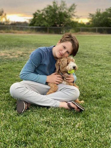 California Labradoodle puppies