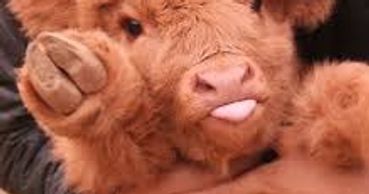 TBD in happier times, being hugged by her dear friend commander Emja!