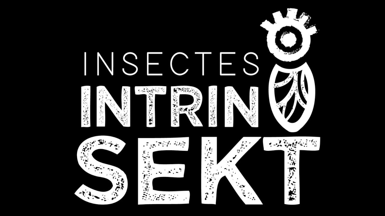 White text and insect-themed logo on a black background.
