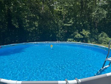 A bright blue above-ground pool with a yellow rubber duck and forest backdrop.