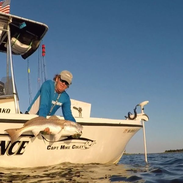A big bull redfish about to be released. Myrtle Beach Inshore Charters | Zero Tolerance Charters