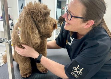 A groomer lovingly interacts with a brown poodle on a grooming table.