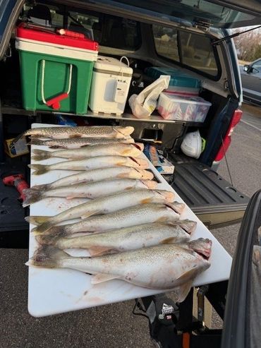March fishing on the Detroit River!