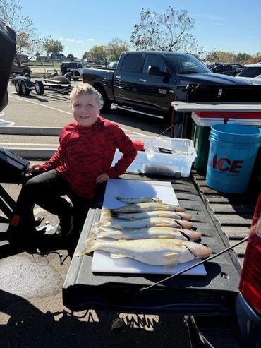 Early Fall Lake Erie Walleye!