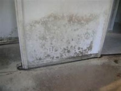 Mold damage growing in the living room and hallway.