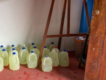 bleach to sanitize homes