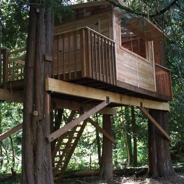 A wooden treehouse elevated among tall trees in a forest.
