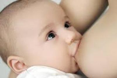 Breastfeeding Help
Lactation Consultant
