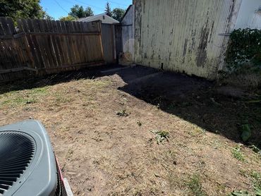 Dry backyard with an old wooden shed and air conditioner unit.