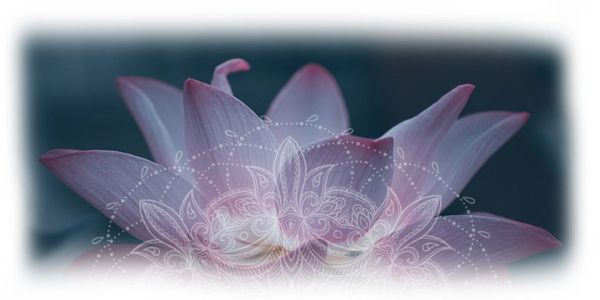 Lutus flower