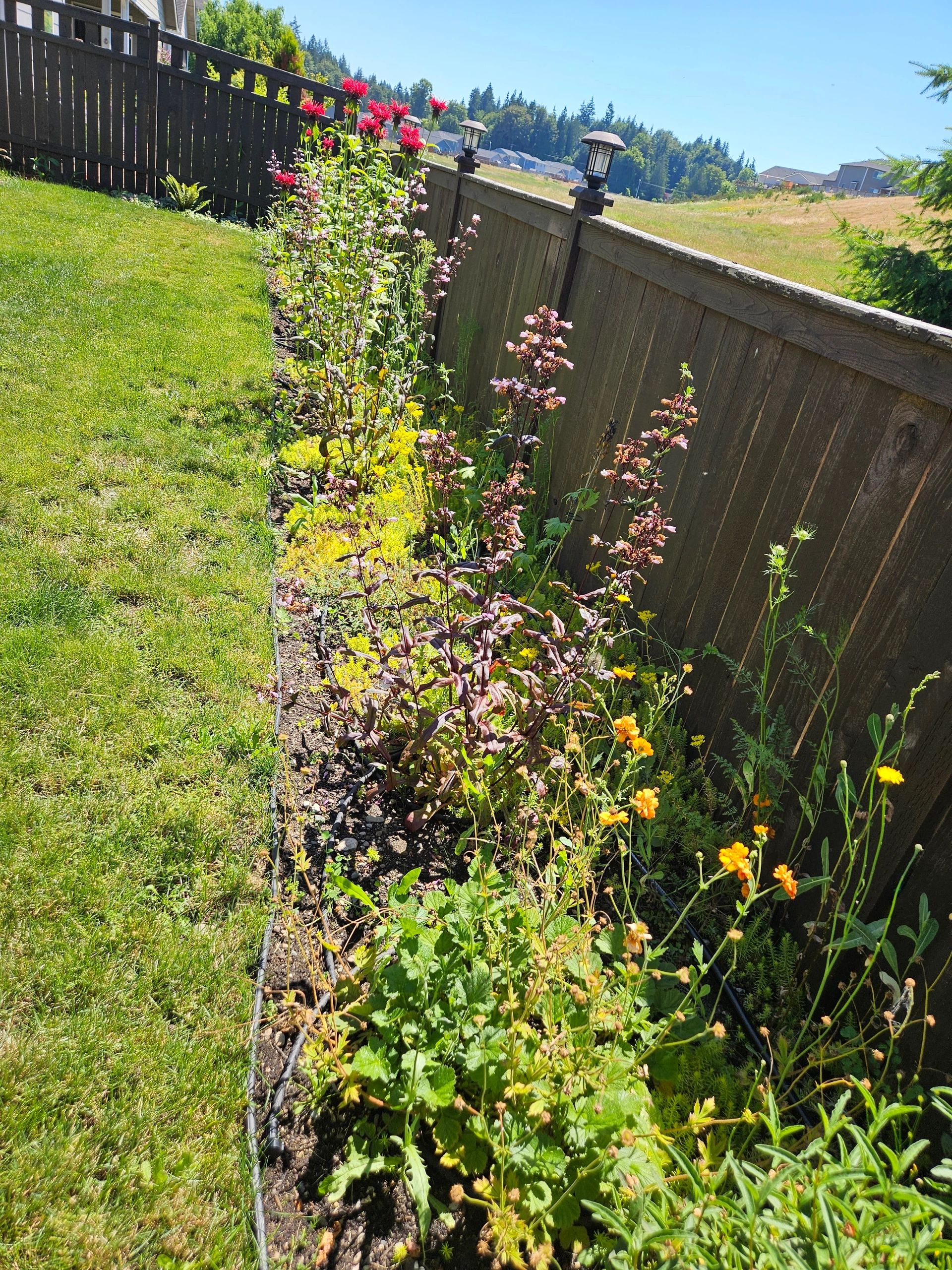 A colorful flower garden alongside a wooden fence on a sunny day.