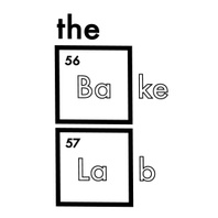 The Bake Lab
